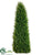 Cypress Triangular Topiary - Green - Pack of 2