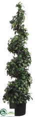 Silk Plants Direct Citrus Leaf Spiral Topiary - Green Two Tone - Pack of 2