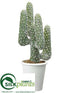 Silk Plants Direct Cactus - Green - Pack of 1
