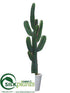 Silk Plants Direct Cactus - Green - Pack of 1