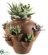 Silk Plants Direct Cactus Garden - Green - Pack of 1