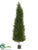Cypress Tree - Green - Pack of 1