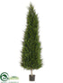 Silk Plants Direct Cypress Tree - Green - Pack of 1