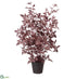 Silk Plants Direct Cimicifuga Ramosa Leaf Tree - Plum - Pack of 1