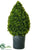 Cedar Topiary - Green - Pack of 1
