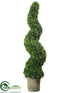 Silk Plants Direct Spiral Cedar Topiary - Green - Pack of 1