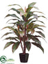 Silk Plants Direct Cordyline Plant - Red Green - Pack of 4