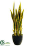 Silk Plants Direct Sansevieria - Green Yellow - Pack of 4