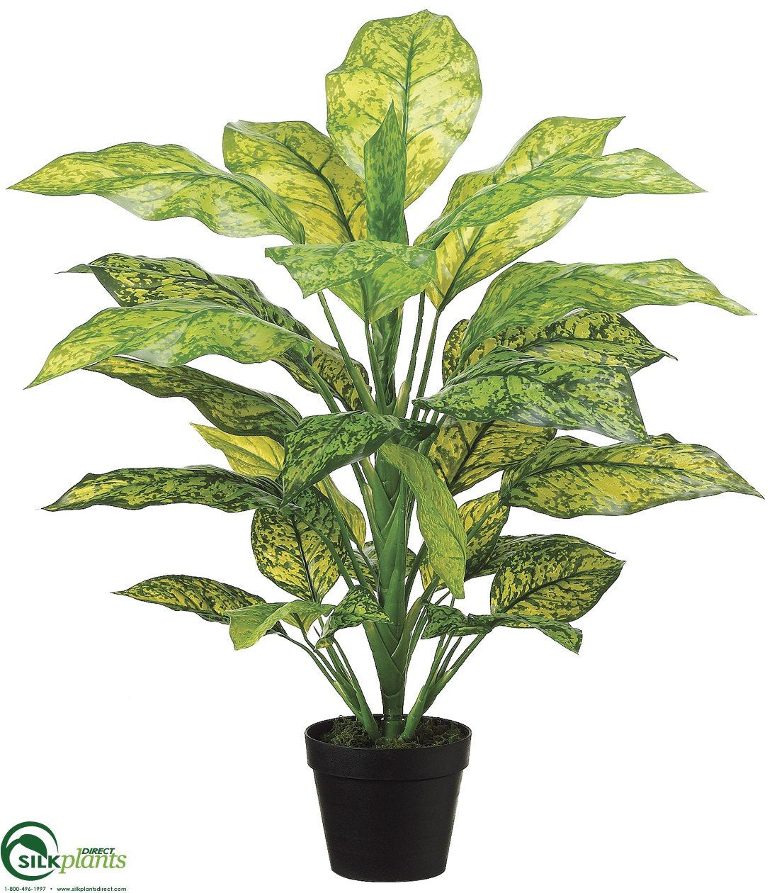 silk dieffenbachia Silk Plants Direct Dieffenbachia Plant - Green