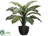 Silk Plants Direct Dieffenbachia Plant - Green Variegated - Pack of 2