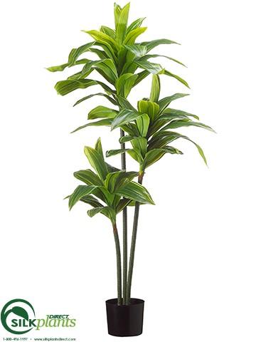 dracaena silk plant Silk Plants Direct Dracaena Plant - Green Cream