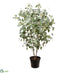 Silk Plants Direct Eucalyptus Plant - Green - Pack of 1