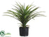 Silk Plants Direct Yucca Head Bush - Green - Pack of 4