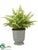 Silk Plants Direct Fern - Green - Pack of 4