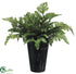 Silk Plants Direct Leather Fern - Green - Pack of 12