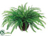 Silk Plants Direct River Fern - Green - Pack of 4