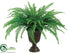 Silk Plants Direct Boston Fern - Green - Pack of 4