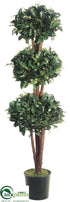 Silk Plants Direct Ficus Topiary - Green Two Tone - Pack of 2