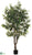 Outdoor Ficus Tree - Green - Pack of 2