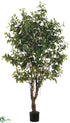 Silk Plants Direct Outdoor Ficus Tree - Green - Pack of 2