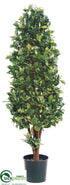 Silk Plants Direct Ficus Cone Tree - Green Two Tone - Pack of 2
