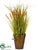 Grass, Wheat - Green Gold - Pack of 4
