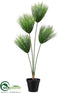 Silk Plants Direct Umbrella Grass Plant - Green - Pack of 4