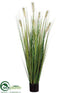 Silk Plants Direct Pampas Grass - Green Two Tone - Pack of 4