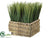 Silk Plants Direct Grass - Green - Pack of 4