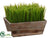 Grass - Green - Pack of 2