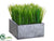 Grass - Green - Pack of 2