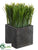 Grass - Green - Pack of 4