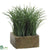 Grass - Green - Pack of 6