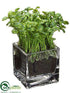 Silk Plants Direct Bean Sprouts - Green - Pack of 6
