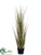 Grass, Reeds - Green Burgundy - Pack of 2