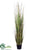 Grass, Reeds - Green Burgundy - Pack of 1
