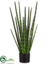 Silk Plants Direct Snake Grass - Green - Pack of 2