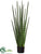 Snake Grass - Green - Pack of 2