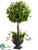 Curly Ivy Ball Topiary - Green - Pack of 2