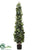 Ivy Topiary - Green - Pack of 2