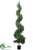 Spiral Ivy Topiary - Green - Pack of 1