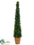 Ivy Cone Topiary - Green - Pack of 2