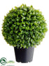 Silk Plants Direct Jade Plant Topiary Ball - Green - Pack of 2