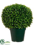 Silk Plants Direct Jade Plant Topiary Ball - Green - Pack of 1