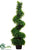 Jade Plant Spiral Topiary - Green - Pack of 2