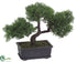 Silk Plants Direct Cedar Bonsai Tree - Green - Pack of 6