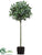 Laurel Leaf Topiary - Green - Pack of 2