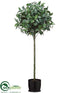 Silk Plants Direct Laurel Leaf Topiary - Green - Pack of 2