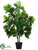 Magnolia Leaf Plant - Green - Pack of 2