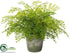 Silk Plants Direct Maidenhair Fern - Green - Pack of 2
